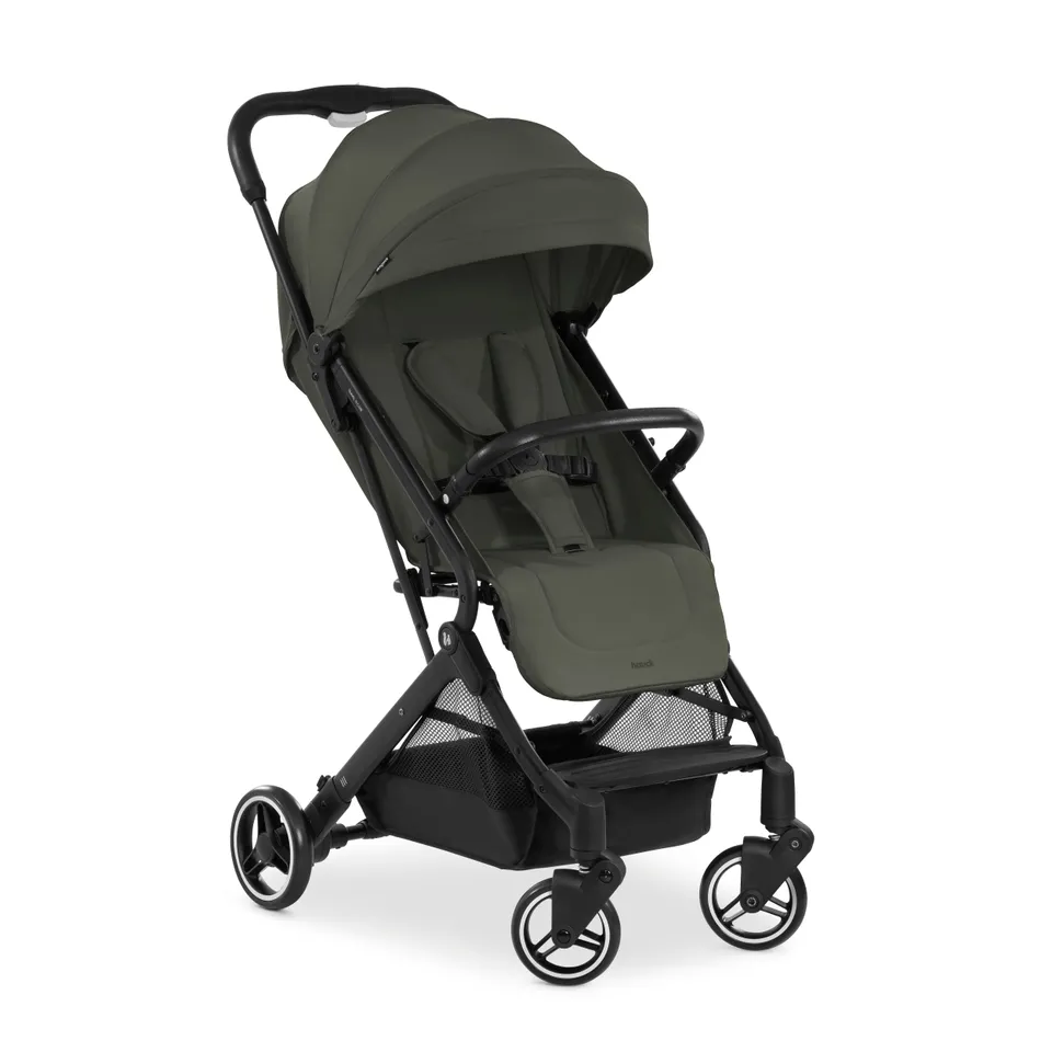 hauck-rapid-travel-n-care-reisebuggy-leo-bis-25-kg image 1
